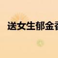 送女生郁金香代表什么（郁金香代表什么）