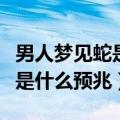 男人梦见蛇是什么预兆还被咬了（男人梦见蛇是什么预兆）