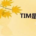 TIM是什么意思（tim是什么）
