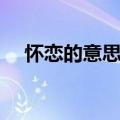 怀恋的意思和拼音怎么写（怀恋的意思）