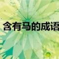 含有马的成语形容单独行动（含有马的成语）