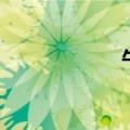 牛皋怎么读（牛皋）
