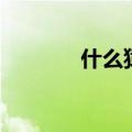 什么猿意什么（什么猿意马）