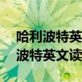 哈利波特英文读后感80字带中文翻译（哈利波特英文读后感）