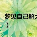 梦见自己解大便是什么预兆（梦见自己解大便）