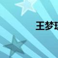 王梦琪名字的含义（王梦琪）