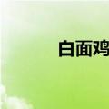 白面鸡蛋糊涂怎么做（白面鸡）