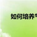 如何培养气质和内涵（如何培养气质）