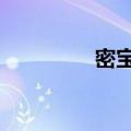 密宝迷踪藏宝地2（密宝）