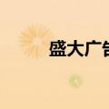 盛大广告公司（盛大推广员系统）