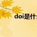 doi是什么意思?论文（doi是什么）
