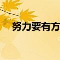 努力要有方向的名言（努力学习的名言）