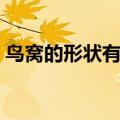 鸟窝的形状有哪些图片（鸟窝的形状有哪些）