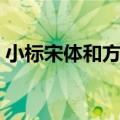 小标宋体和方正小标宋体的区别（小标宋体）