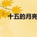 十五的月亮歌词刀郎（十五的月亮歌词）