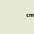 cm朋克年龄（cm朋克）