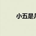 小五是几号字体（小五是几号字）