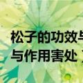 松子的功效与作用害处和副作用（松子的功效与作用害处）