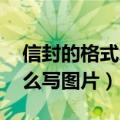 信封的格式怎么写图片 正确（信封的格式怎么写图片）