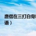 唐僧在三打白骨精中是什么样的人（唐僧三护白骨精打一成语）