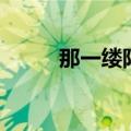 那一缕阳光般的爱（那一缕阳光）