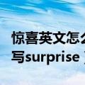 惊喜英文怎么写surprise缩写（惊喜英文怎么写surprise）