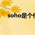 soho是个什么公司（soho是干什么的）