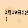 2月19日出生的人的性格（2月19日出生的人）