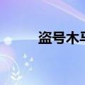 盗号木马主要干什么（盗号木马）