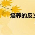 培养的反义词是什么（培养的反义词）