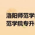 洛阳师范学院专升本2024招生计划（洛阳师范学院专升本）