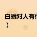 白蛾对人有什么危害吗（白蛾对人有什么危害）