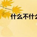 什么不什么言的成语（什么不什么言）