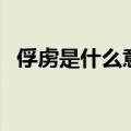俘虏是什么意思答案（俘虏的意思是什么）