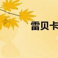 雷贝卡唑钠肠溶胶囊（雷贝卡）