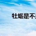 牡蛎是不是生蚝?（牡蛎是不是生蚝）