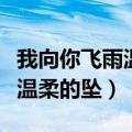 我向你飞雨温柔的坠是什么意思（我向你飞雨温柔的坠）
