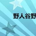 野人谷野人洞风景区简介（野人谷）