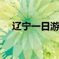辽宁一日游景点（辽宁一日游去哪里好）