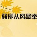 弱柳从风疑举袂的下一句（弱柳从风疑举袂）