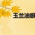 玉兰油眼霜哪款好用（玉兰油眼霜）