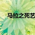 马拉之死艺术鉴赏（马拉之死作品赏析）