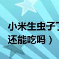 小米生虫子了怎么办还能吃吗（小米生虫子了还能吃吗）