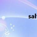 salt怎么读（alt怎么读）