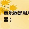 簧乐器是用片状振动体发音而成的乐器（簧乐器）