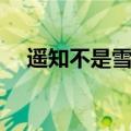 遥知不是雪的全诗是什么（遥知不是雪）