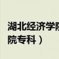 湖北经济学院专科分数线是多少（湖北经济学院专科）
