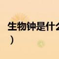 生物钟是什么意思有什么规律（生物钟是什么）
