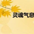 灵魂气息的意思是什么（灵魂气息）
