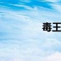 毒王加点推荐（毒王加点）